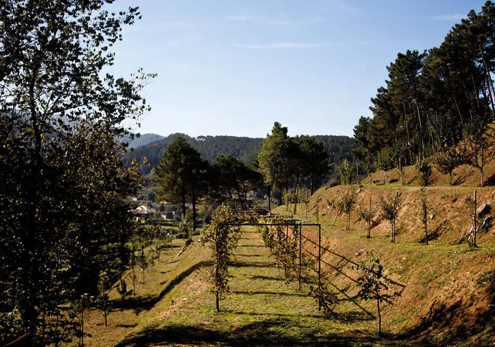 Apartment Tenuta Setteventi Capannori Italy