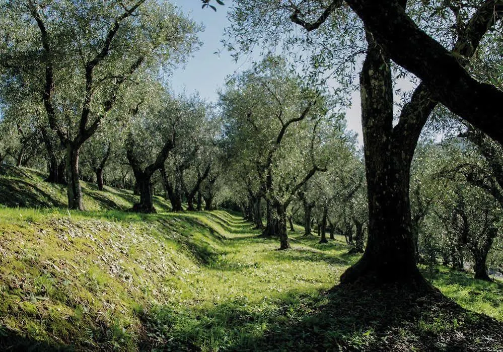 Tenuta Setteventi Capannori