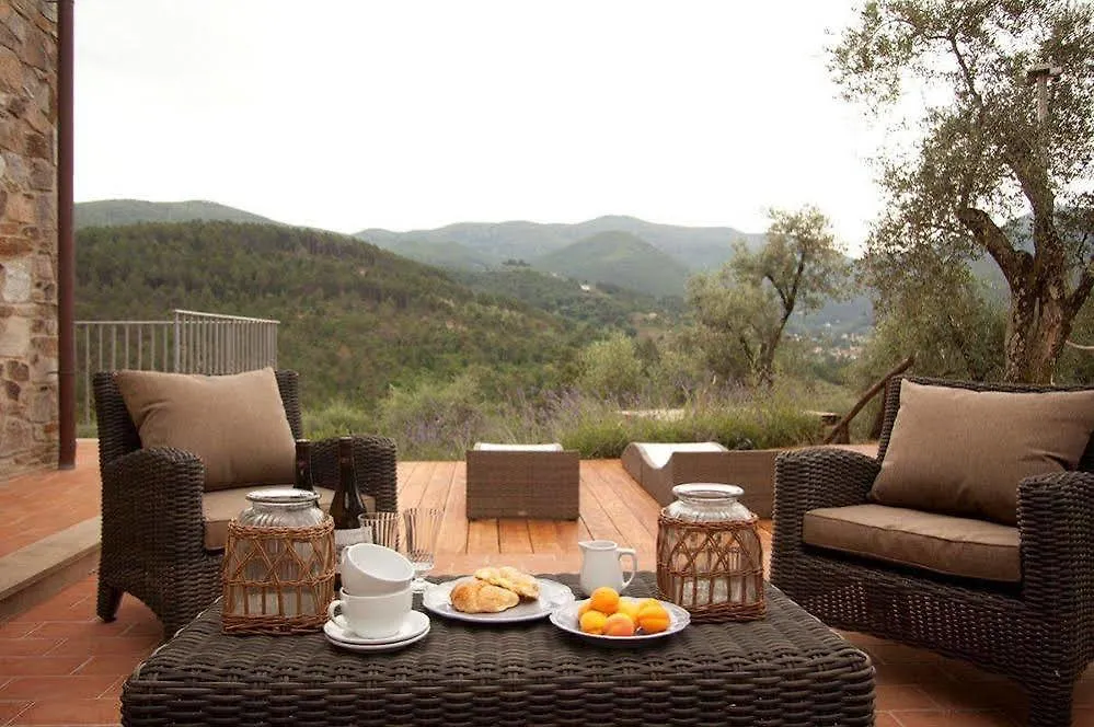 Tenuta Setteventi Capannori Italy