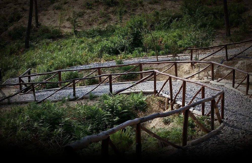 Tenuta Setteventi Capannori